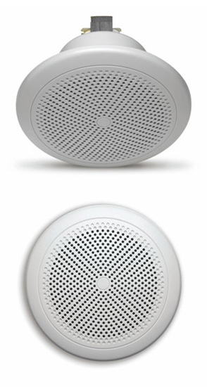 Outdoor-Ready 5" Coaxial Ceiling Speaker - Weather-Proof Design