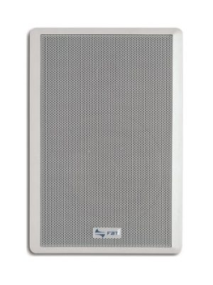 Premium Wall-Mounted 10 W Speaker with 5" Woofer & Tweeter