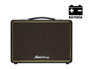 Battery-Powered 15 W Guitar/Bass Amp with Bluetooth & ECHO
