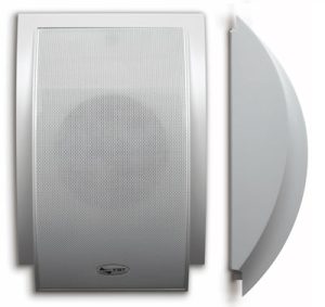 Versatile Wall-Mounted 100 V Speaker - 6 W/3 W Power Options