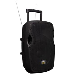 Portable 12" Bluetooth Speaker with Wireless Mic & Trolley