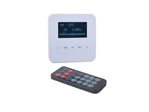 Bluetooth Wall-Mount Control with FM Radio & Micro SD Slot